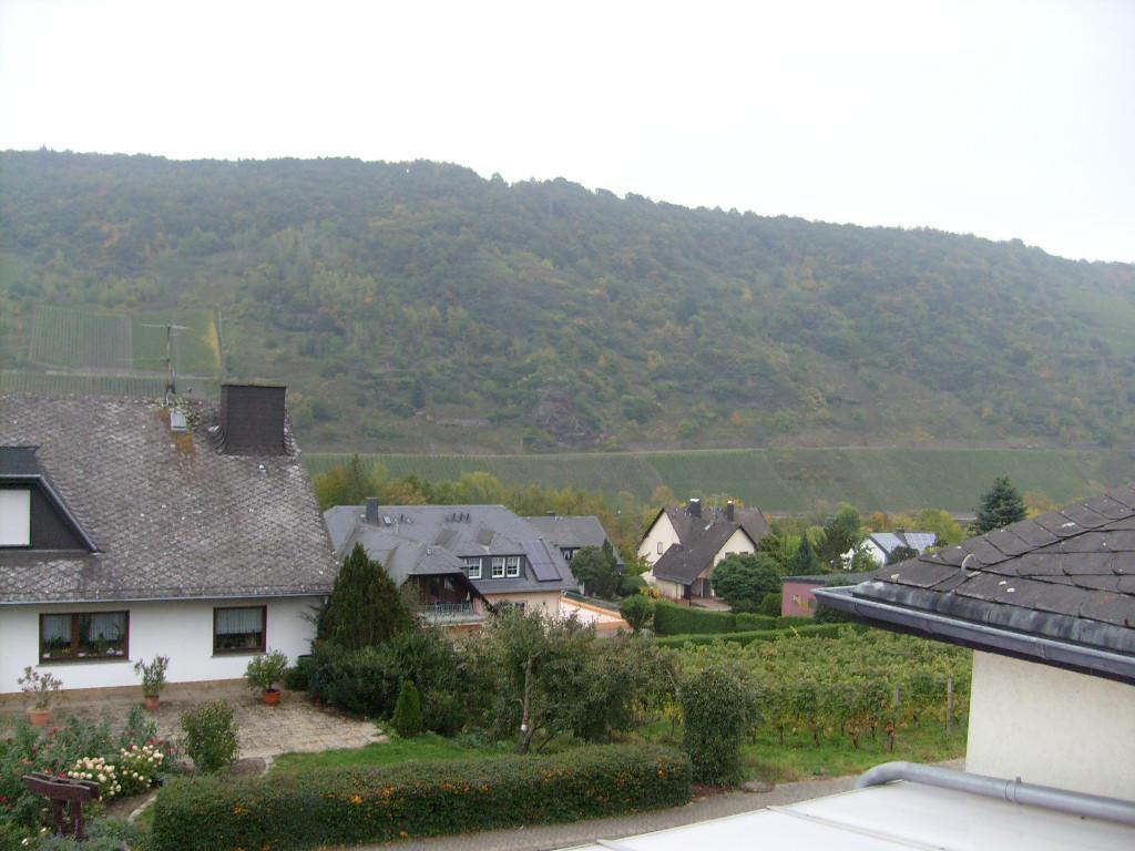 Pension Kroth An Der Mosel Briedel Esterno foto